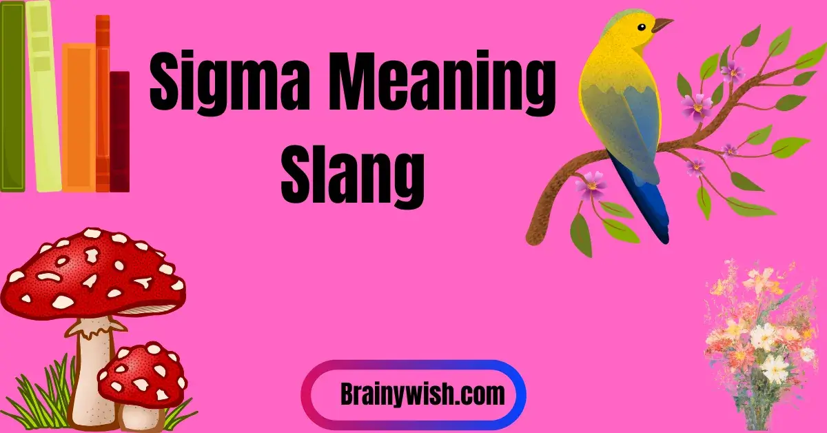 Best Sigma Meaning Slang: What It Really Means Online